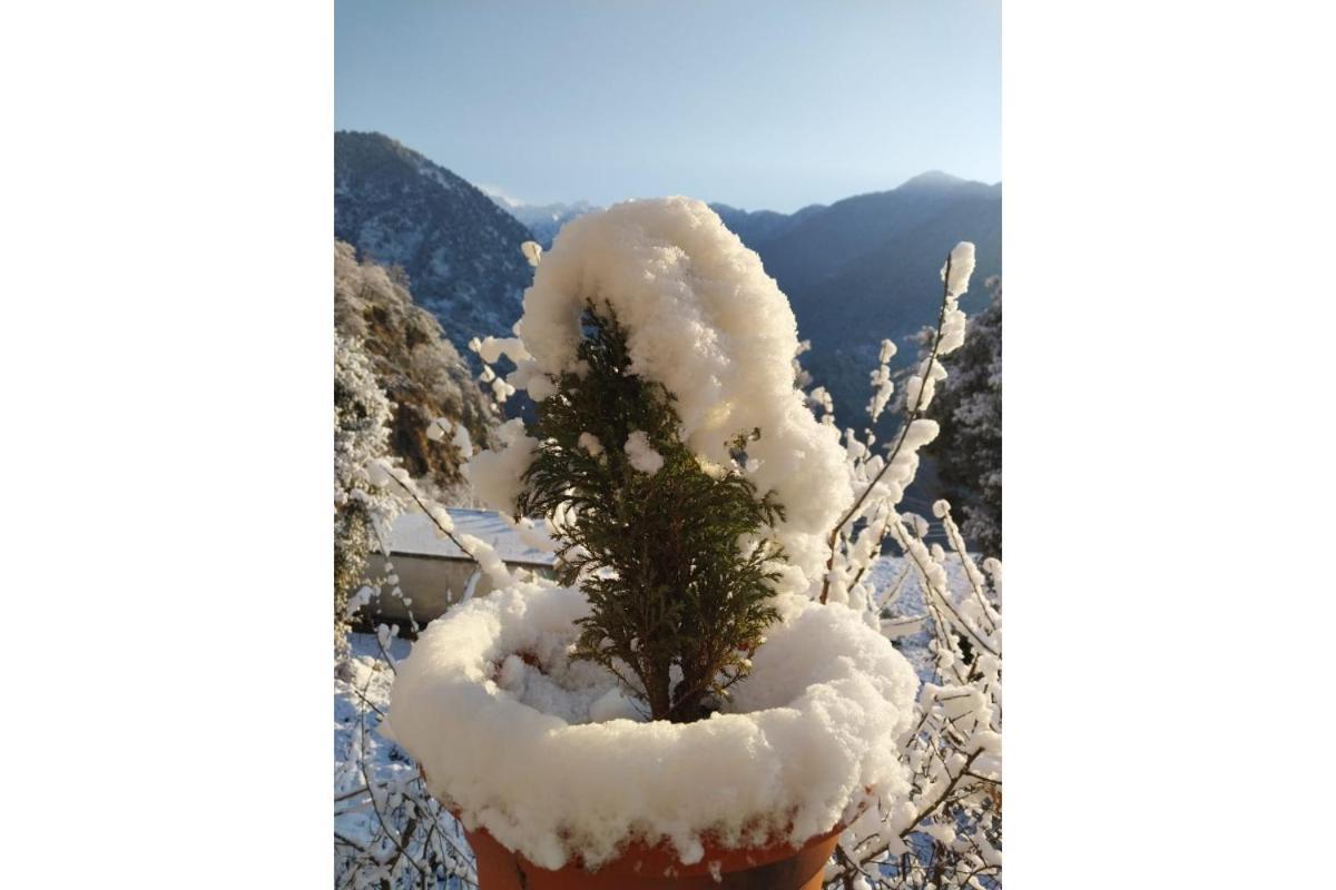 Prince Homestay & Restaurant Rudraprayāg Dış mekan fotoğraf